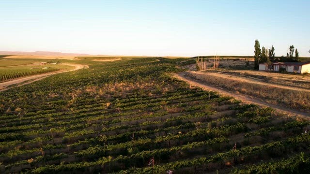 Primary Photo Of 24013 Arena Valley Rd, Parma Land For Sale