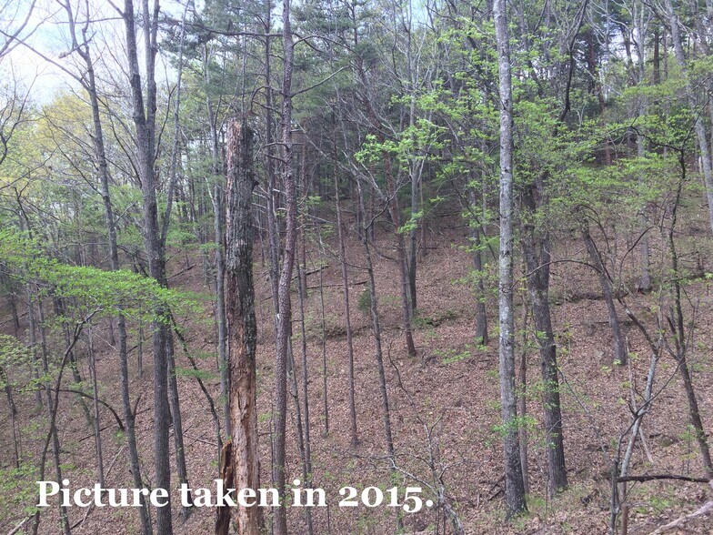 More Photos Of Pinyan, Ranger Land For Sale