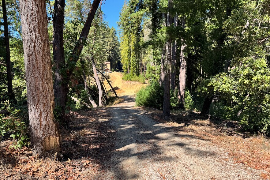 More Photos Of 1200 Roberts Rd, Ben Lomond Land For Sale