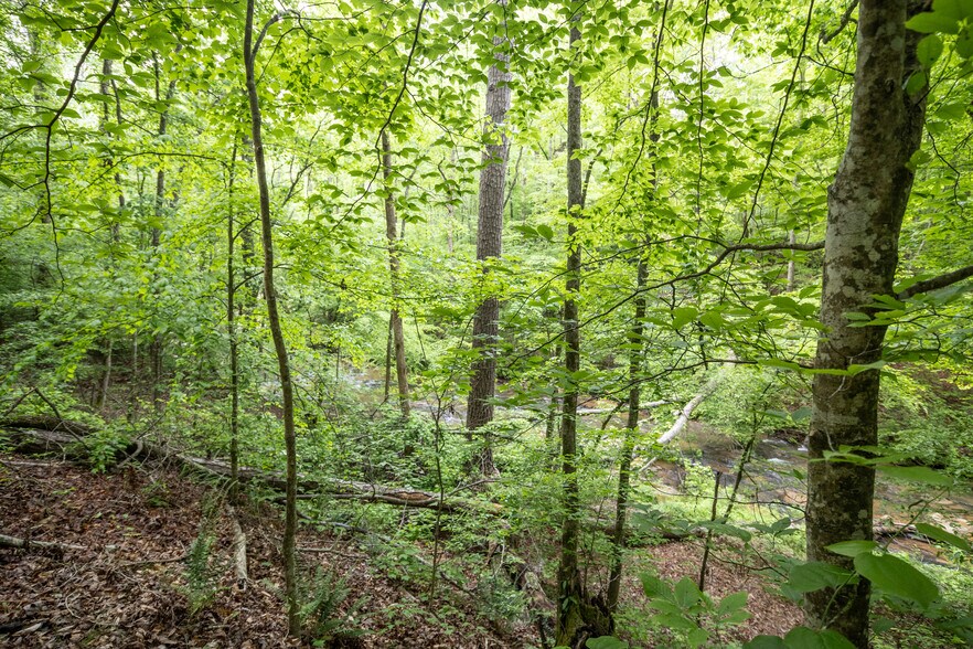 More Photos Of HWY 515 & Hidden Creek rd, Jasper Land For Sale