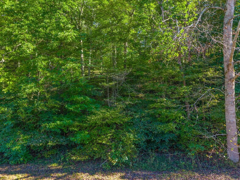 More Photos Of 0 Cox Hollow Rd, Dover Land For Sale