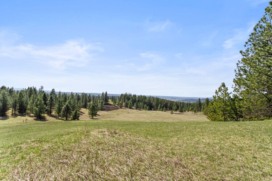 More Photos Of 15809 N Scribner Branch Rd, Spokane Land For Sale