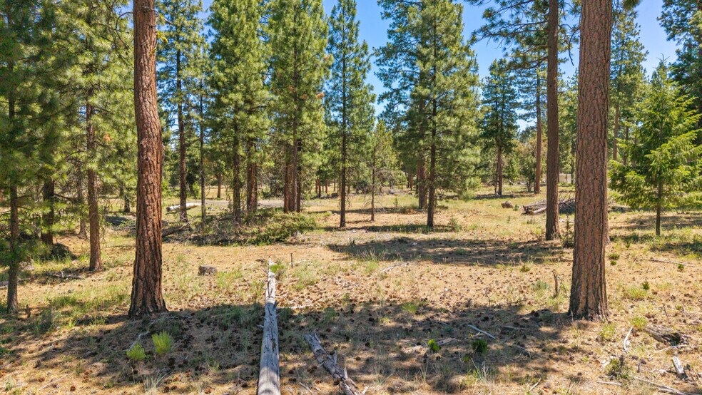 More Photos Of 0 Blue Wing Street, Keno Land For Sale