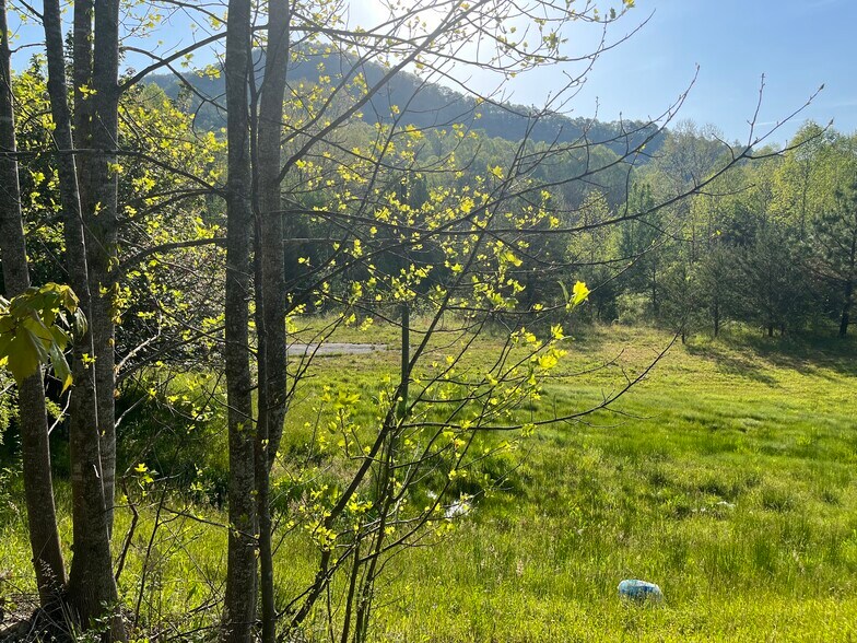 More Photos Of 3766 N Hwy 441, Mountain City Land For Sale