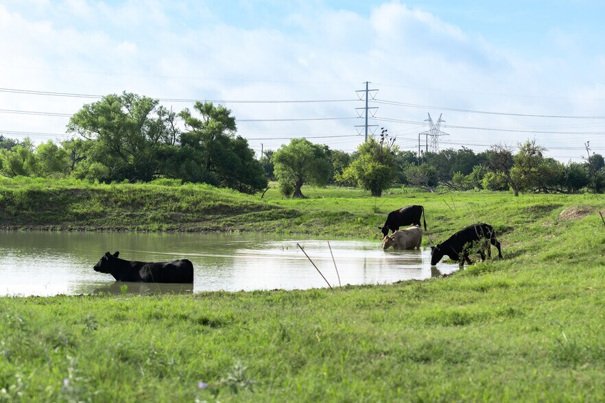 More Photos Of FM2268 @ Gooseneck Road, Salado Land For Sale