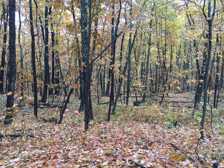 More Photos Of County Road 27 / cross St. Greeley Road, Taghkanic Land For Sale