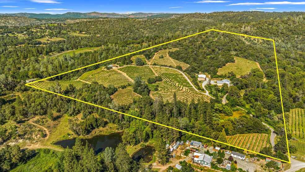 Primary Photo Of 8221 Stoney Creek Rd, Fair Play Winery Vineyard For Sale