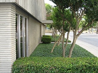 More Photos Of 500 Lexington Ave, San Antonio Office For Lease