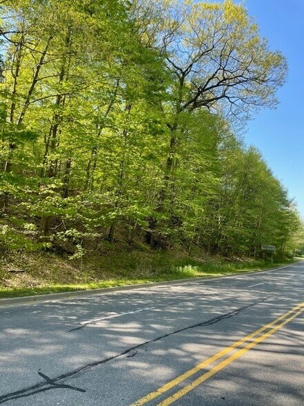 More Photos Of 270 Glenwood Rd, Dickinson Township Land For Sale