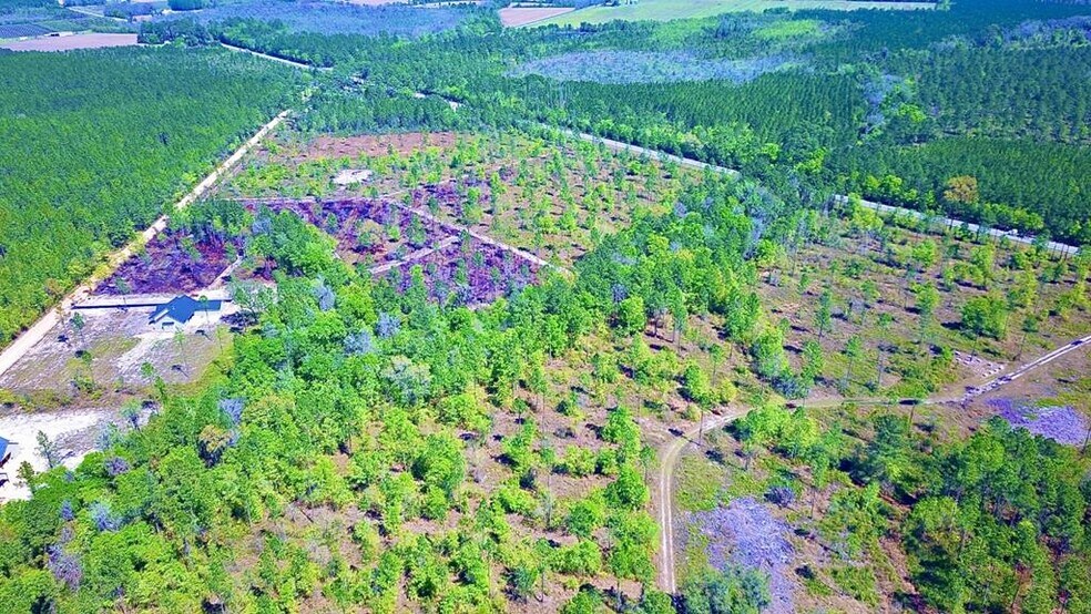 More Photos Of 8 Acres Hwy 221 hwy, Lakeland Land For Sale