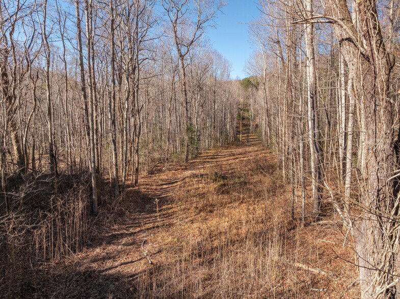 More Photos Of 00 Pittman Rd, Landrum Land For Sale