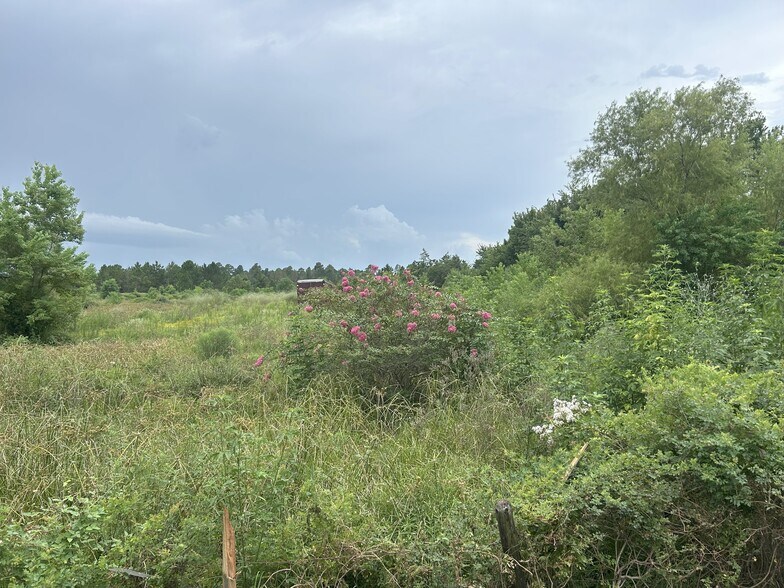 More Photos Of 29913 Waller Spring Creek Rd, Waller Land For Sale