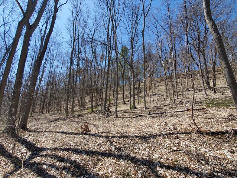 More Photos Of Lot 29 Lot 29 Old Plank Rd. Rd, Coxsackie Land For Sale