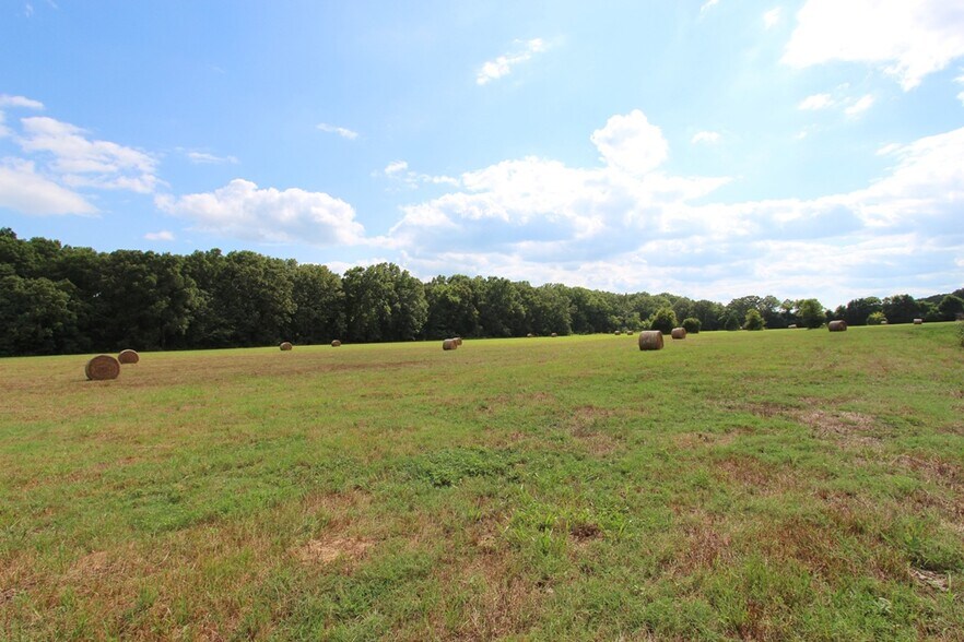 More Photos Of 278 Highway 64 E, Conway Land For Sale