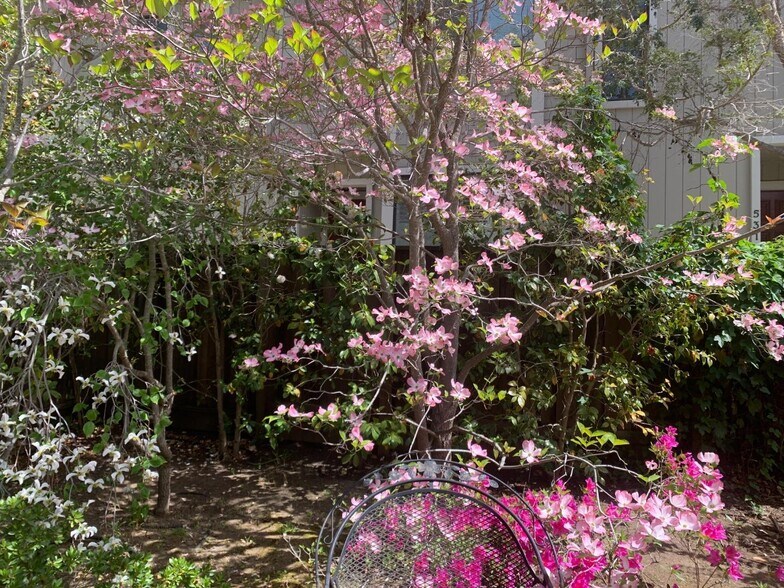 More Photos Of 837 Cowper St, Palo Alto Apartments For Sale