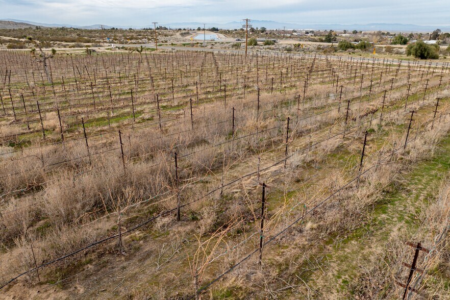 More Photos Of Fort Tejon Rd, Littlerock Land For Sale