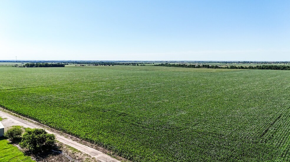 More Photos Of TBD County Road 405, Taylor Land For Sale