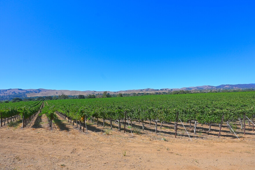 More Photos Of Arroyo Rd, Livermore Land For Sale