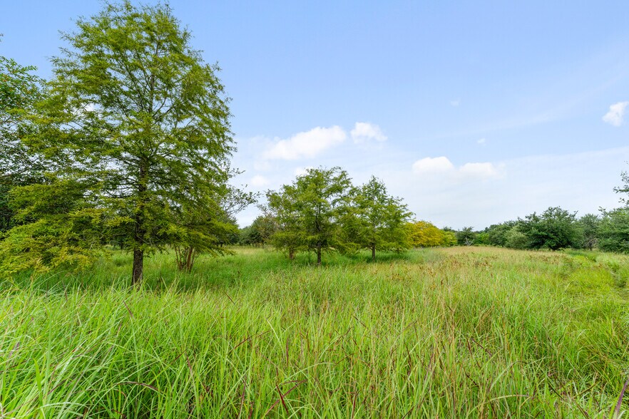 More Photos Of 23111 FM 1462 Rd, Damon Land For Sale