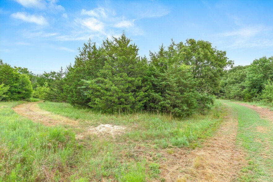 More Photos Of 1745 FM 2737, Lone Oak Land For Sale