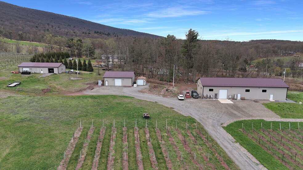 More Photos Of 596 Harman Rd, Halifax Winery Vineyard For Sale