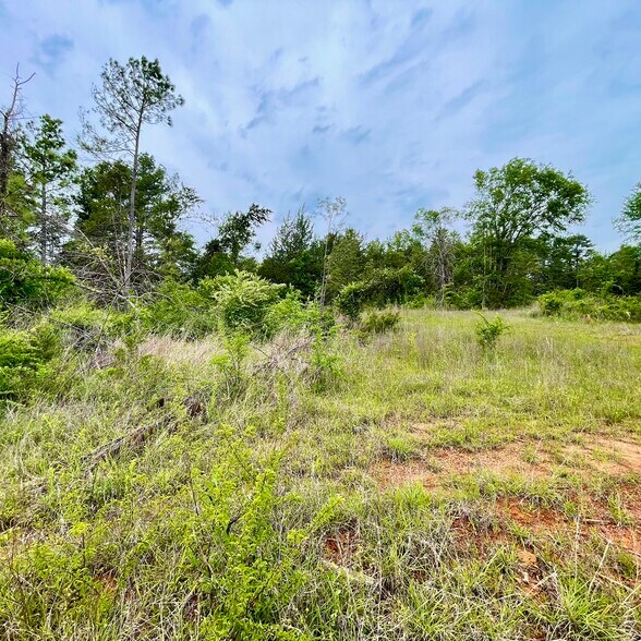 More Photos Of TBD County Road 336, Tyler Land For Sale