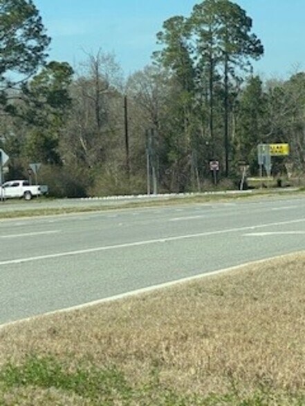 More Photos Of 0 US HWY 19 N, Meigs Land For Lease