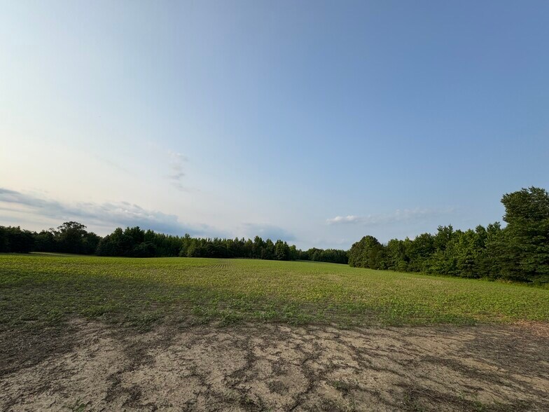 More Photos Of 2174 Frazier Road, Rossville Land For Sale