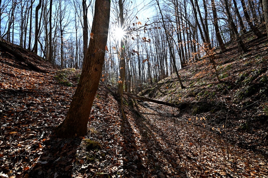 More Photos Of Richard Allen St, Aquasco Land For Sale