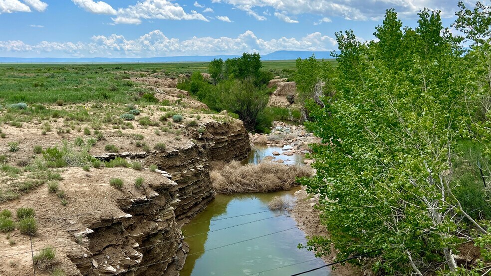 More Photos Of 48999 County Road 48, Model Land For Sale