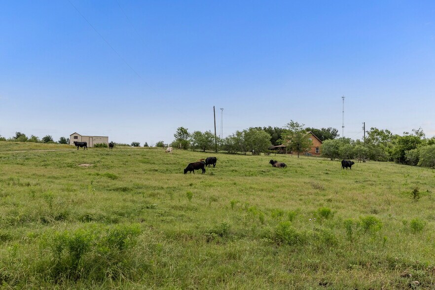 More Photos Of 51 County Road 436, Thrall Land For Sale