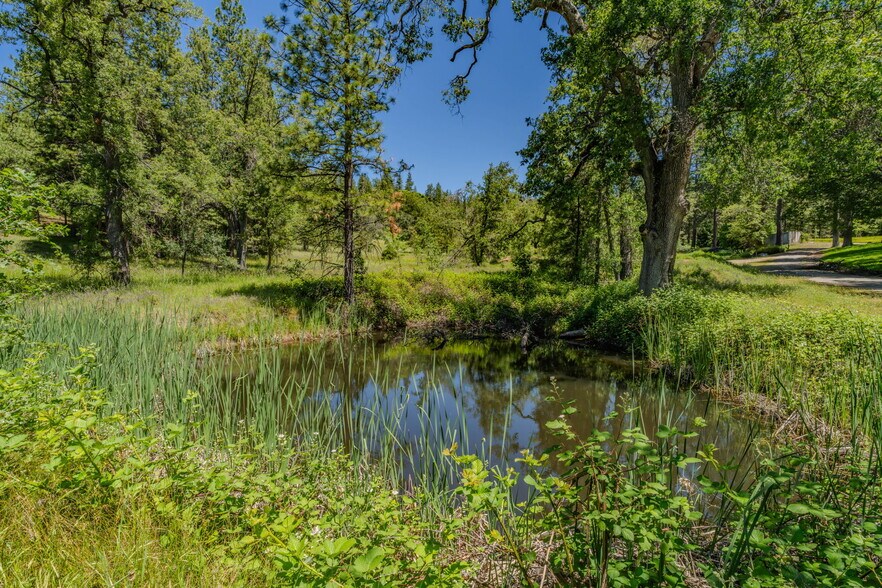 More Photos Of 25755 State Highway 88, Pioneer Land For Sale