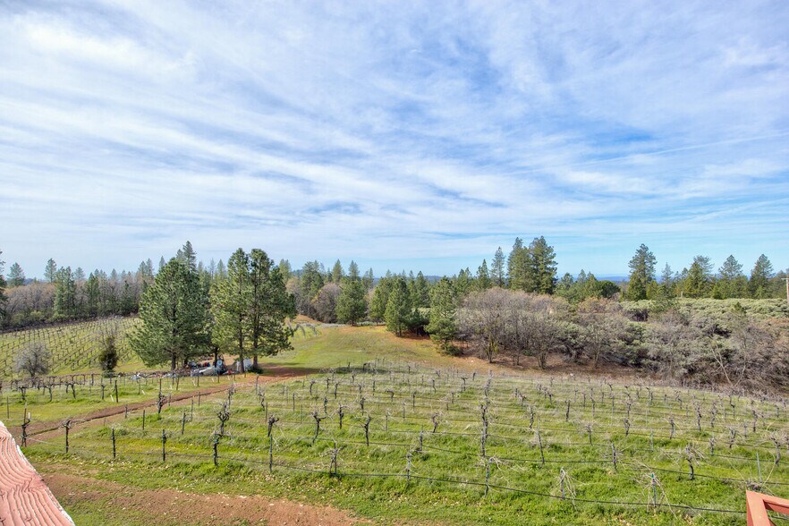 More Photos Of 4771 Greenhills Rd, Placerville Winery Vineyard For Sale
