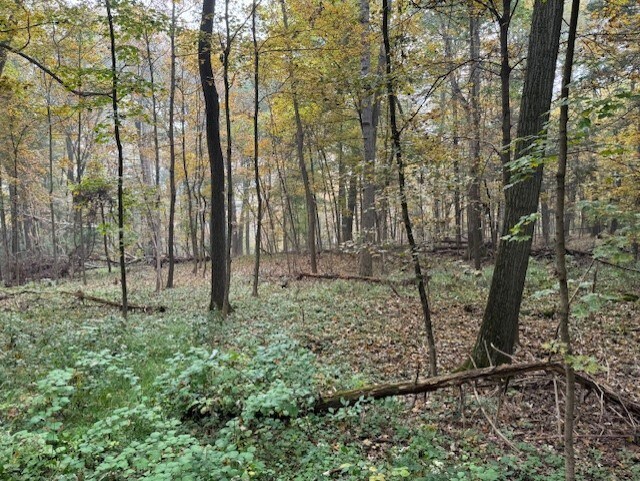 More Photos Of 240 Boardman Rd, Poughkeepsie Land For Sale