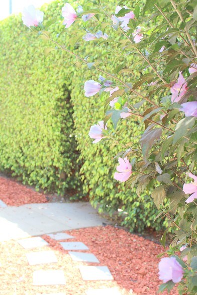 More Photos Of 10603-10609 Palms Blvd, Los Angeles Apartments For Sale