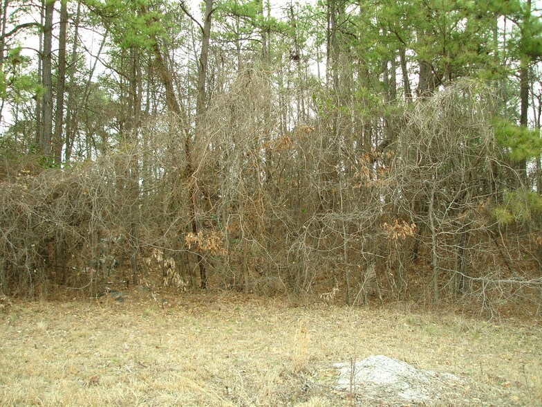 More Photos Of 1561-1565 Moreland Ave, Atlanta Land For Sale