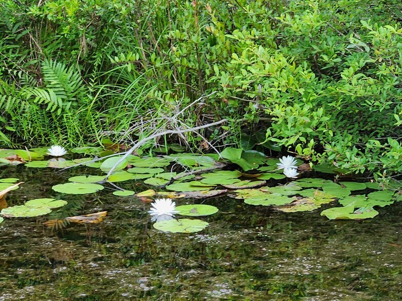 More Photos Of 6939 SW 1 Federal Rd, Lamont Land For Sale