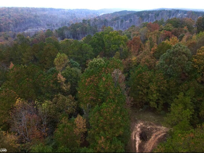 More Photos Of EO Road, Odenville Land For Sale