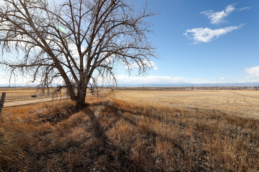 More Photos Of 0000 County Rd 11/10, Dacono Land For Sale
