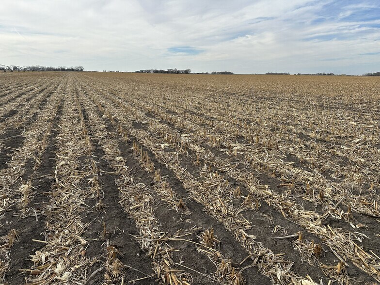 More Photos Of Lonetree Road, Central City Land For Sale