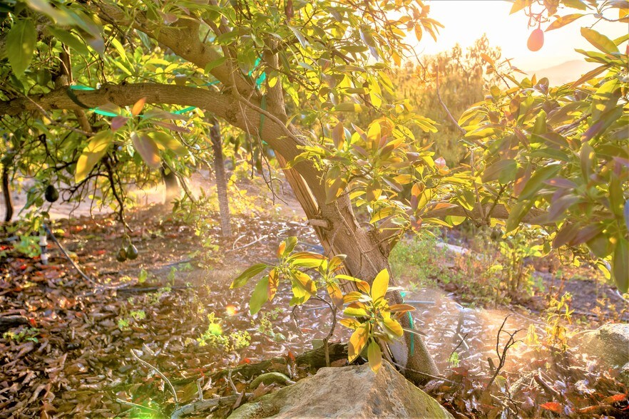 More Photos Of 6036 Rainbow Heights Rd, Fallbrook Land For Sale