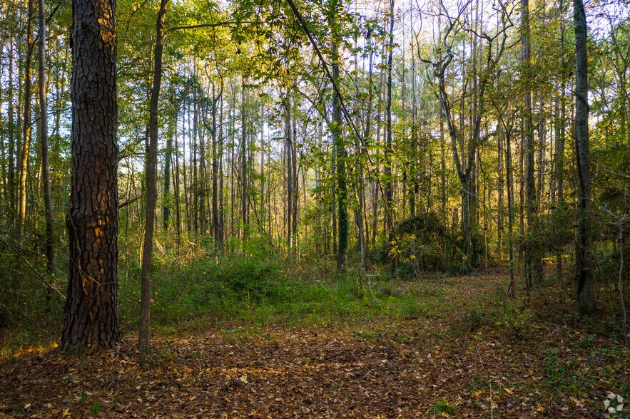 More Photos Of 4140 Arkwright Rd, Macon-Bibb Land For Sale