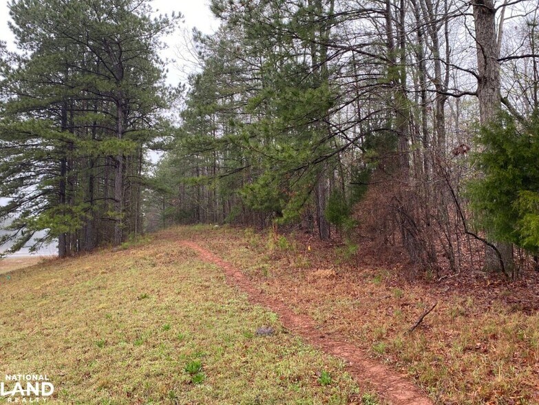 More Photos Of 0 Highway 280, Dadeville Land For Sale