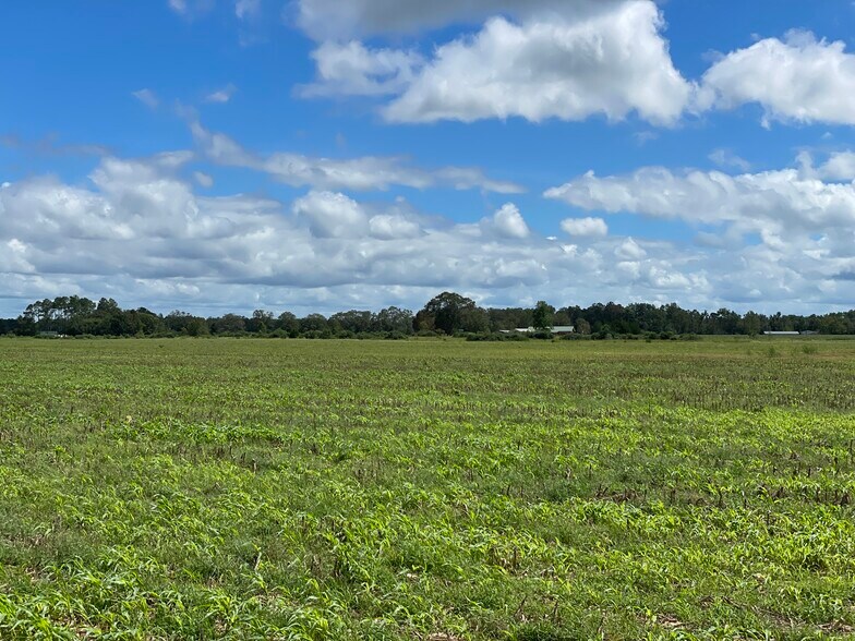 More Photos Of 5700 Pine Forest Rd, Walnut Hill Land For Sale