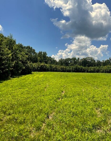 More Photos Of 17796 Dry Branch loop, Northport Land For Sale