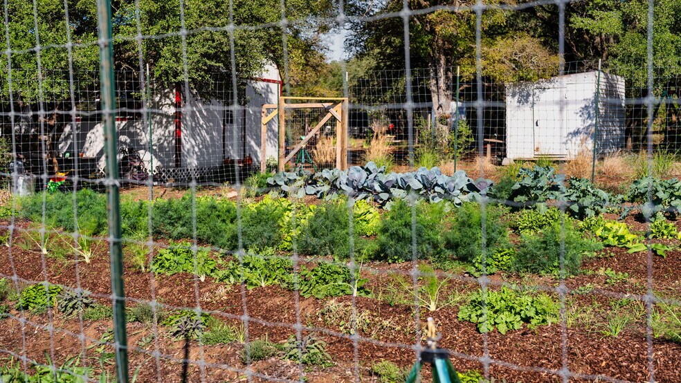 More Photos Of 25711 Hamilton Pool Rd, Round Mountain Specialty For Sale