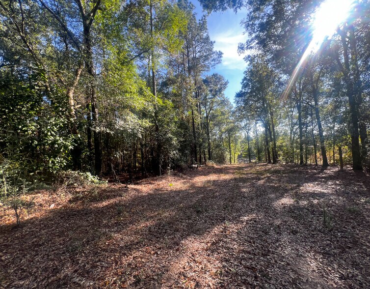 More Photos Of 0 Highway 198, Lucedale Land For Sale