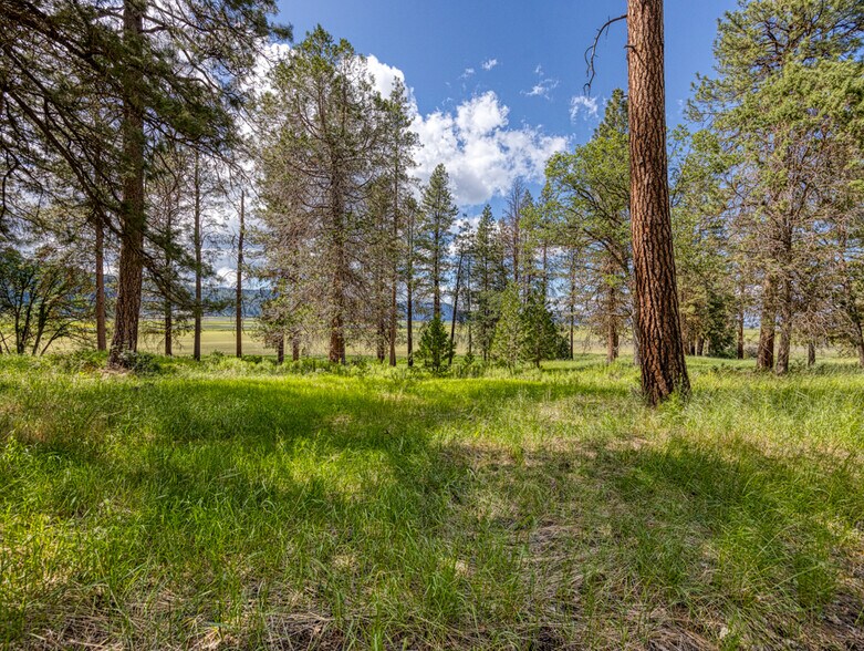 More Photos Of LP 1414 LP 1414 Highway 140 Hwy, Klamath Falls Land For Sale