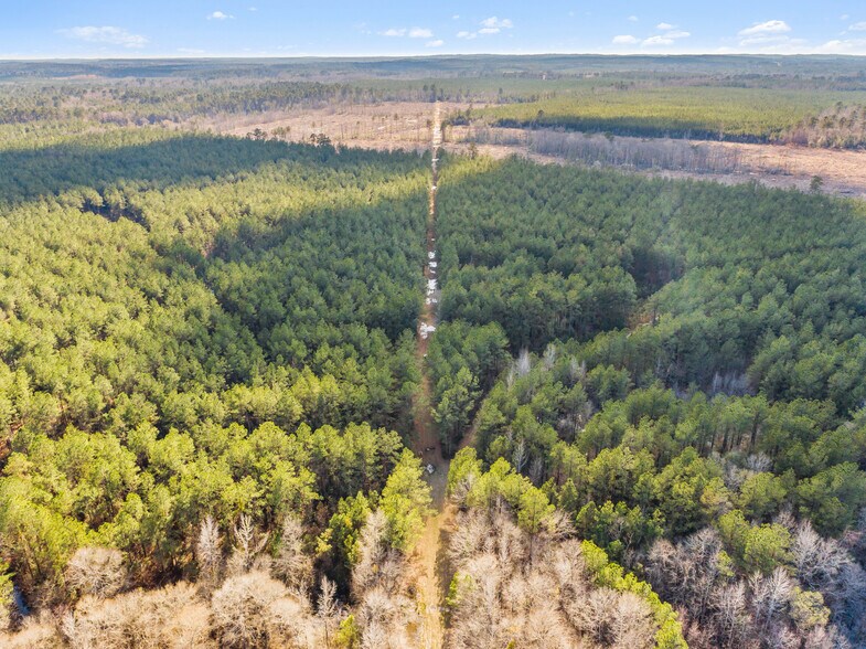 More Photos Of 7471 Hwy 155, Saline Land For Sale