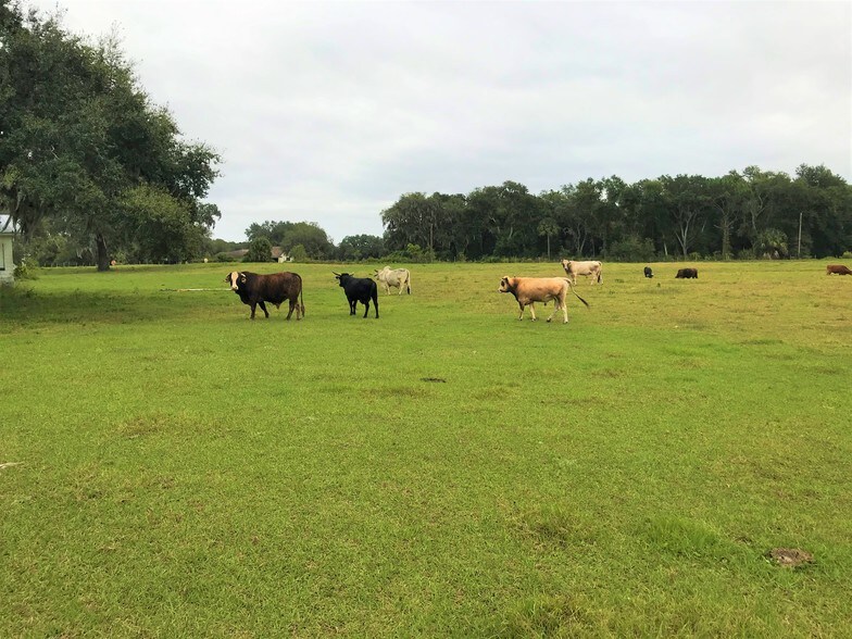 More Photos Of 1401 State Road 44, Leesburg Land For Sale